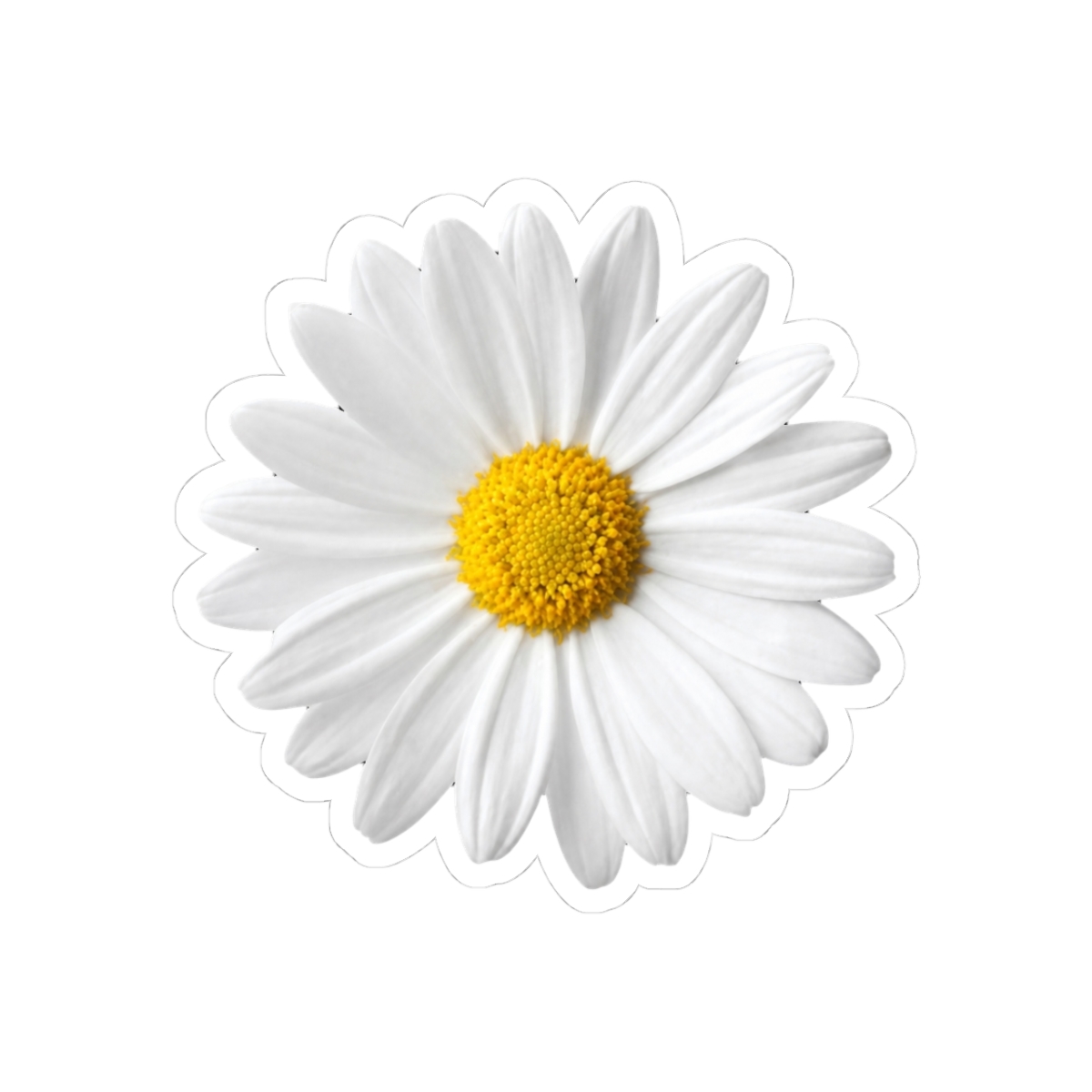 Daisy Things We Never Got Over | Lucy Score - Official Creator merchandise